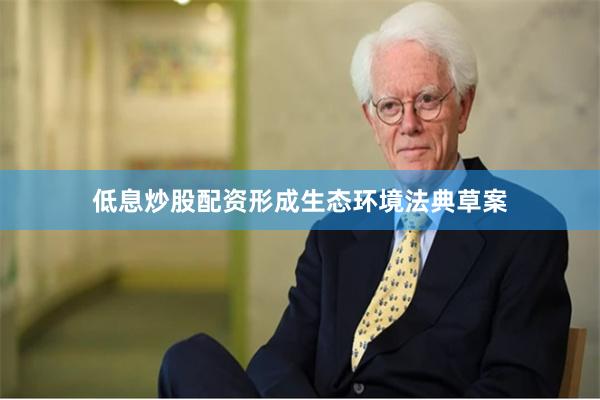 低息炒股配资形成生态环境法典草案